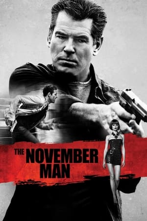 The November Man 2014 100mb Hindi Dual Audio movie Download